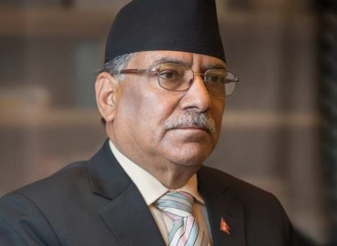 category photo
