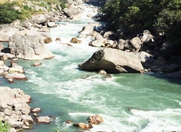 category photo