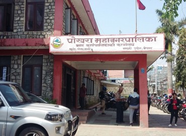 category photo
