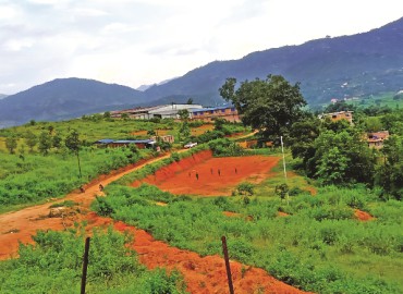 category photo