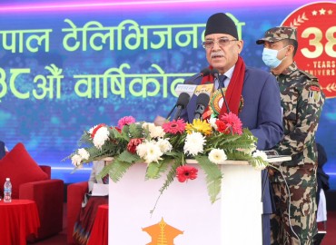 category photo