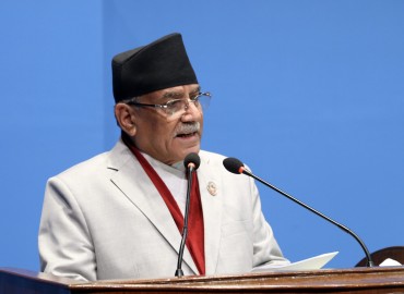 category photo