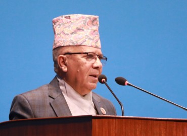 category photo