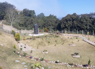 category photo