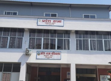 category photo