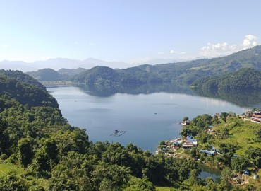 category photo