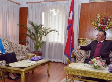 category photo