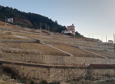 category photo