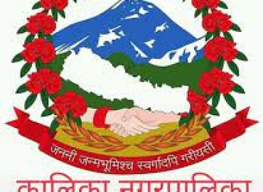 category photo