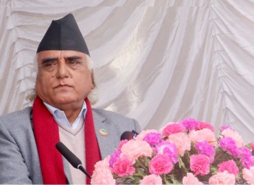 category photo