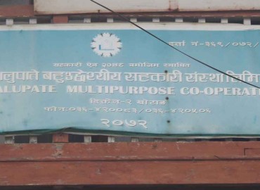 category photo