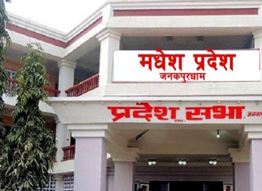 category photo