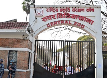 category photo