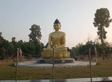 category photo