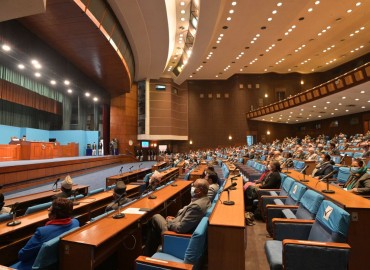 category photo