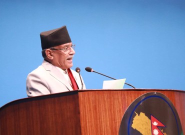 category photo