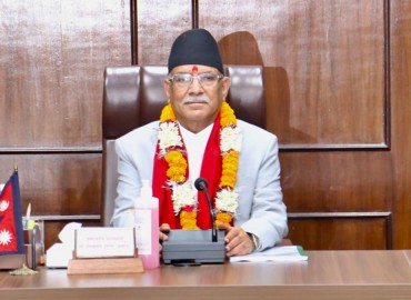 category photo