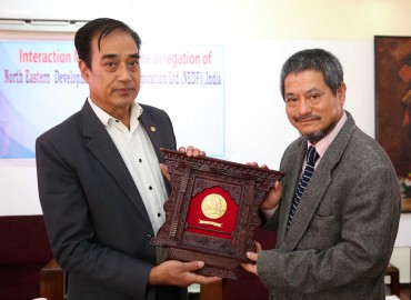 category photo