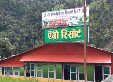 category photo