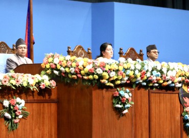 category photo