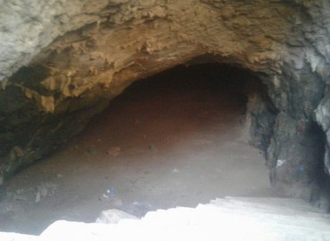 category photo
