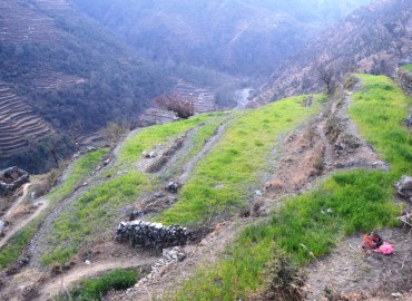 category photo