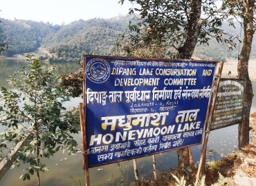 category photo