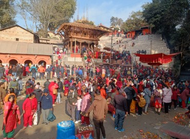 category photo