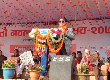 category photo