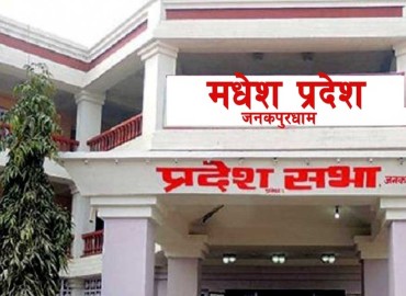 category photo