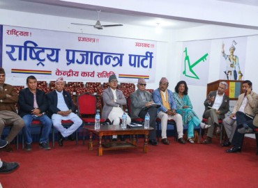 category photo