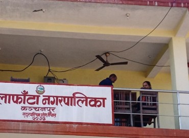 category photo