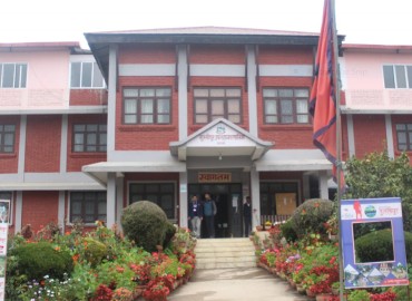 category photo