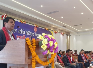 category photo