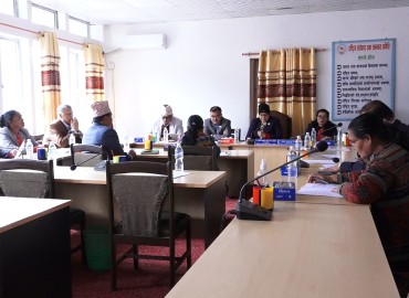 category photo