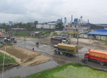 category photo