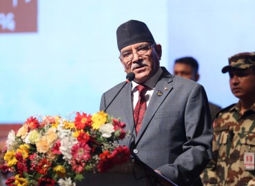 category photo
