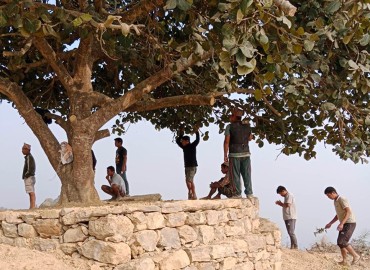category photo