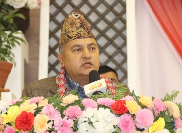 category photo