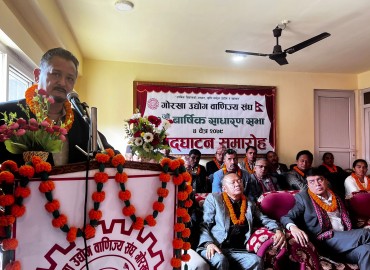 category photo