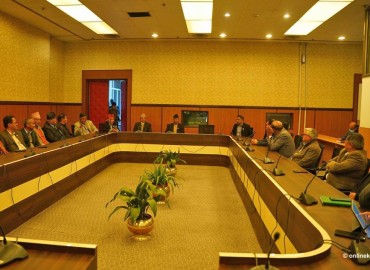 category photo