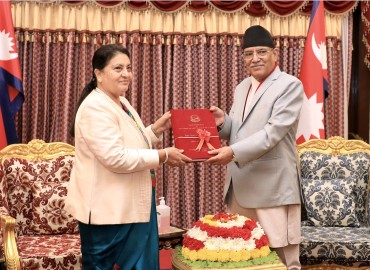 category photo