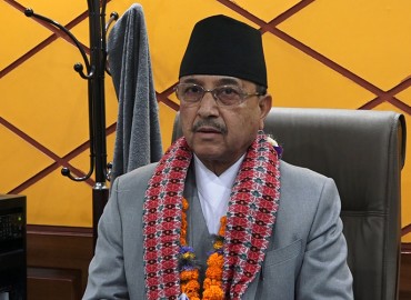 category photo