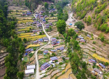 category photo