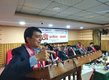 category photo