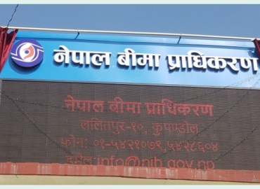 category photo
