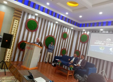category photo