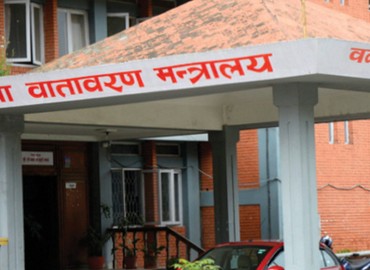 category photo