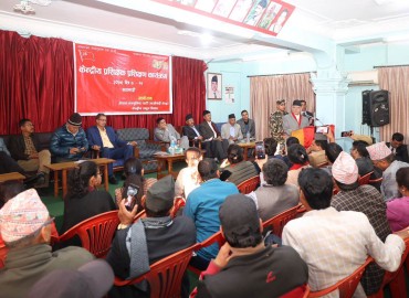 category photo