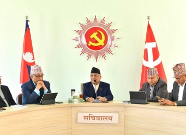 category photo
